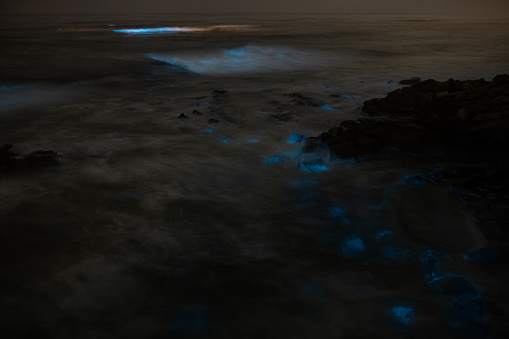 Bioluminescence glowing in the waves along the San Diego coast