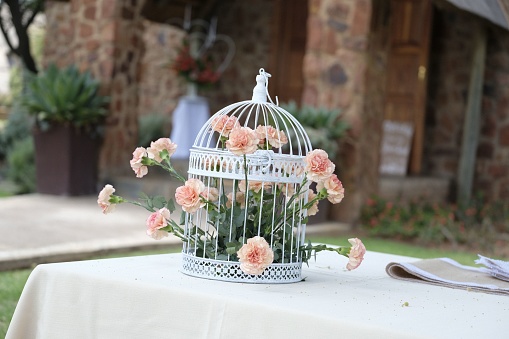 A closeup shot of a decorative white cage with pink roses