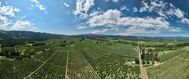 A panoramic view of Mt. Hood in the horizon from Parkdale, Oregon in daylight.