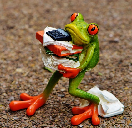 A closeup shot of a frog with books figurine
