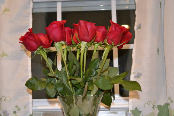 A vase of red roses sitting in front of a window with flowered white curtains.