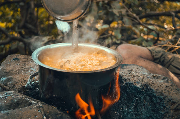 close-up tiro de arroz cozinhando em panela de aço em fogo acampamento - metal gates - fotografias e filmes do acervo