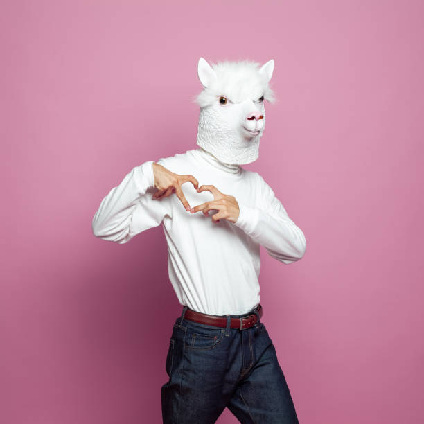 istock Man wearing lama mask making heart with hands on bright pink background 1417687344