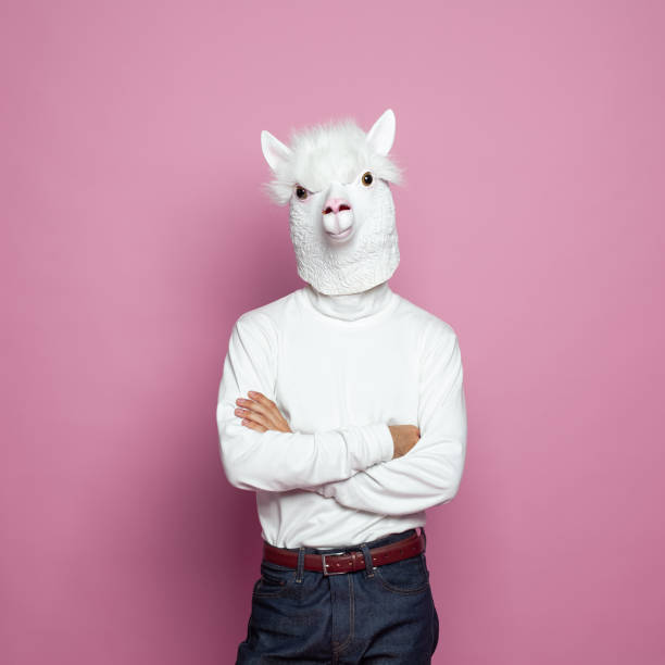 istock Man with lama head standing with crossed arms on bright pink studio wall background 1417687345