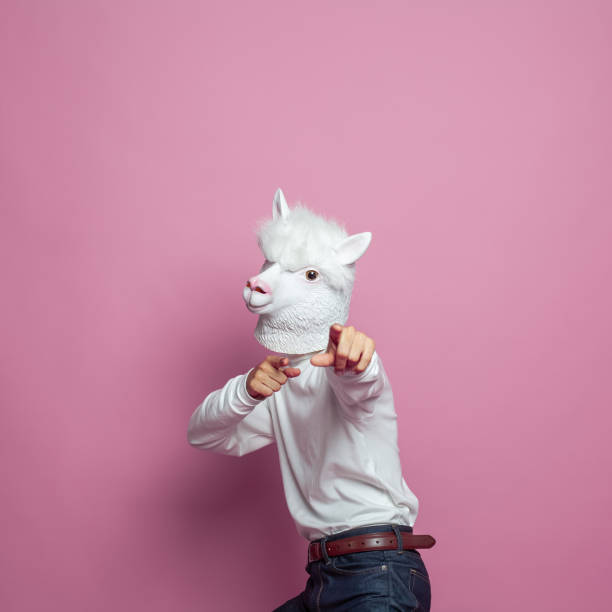 istock Creative lama person pointing finger on bright pink studio wall background 1417687347