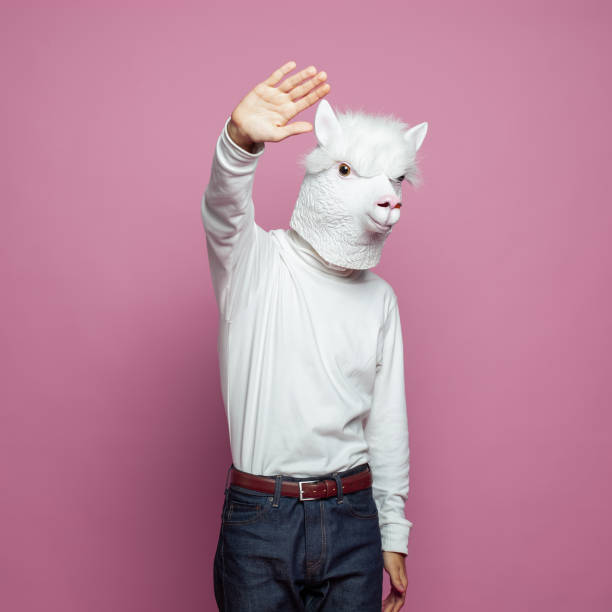 istock Cute lama person. Man with lama head saying hello on bright pink studio wall background 1417687351