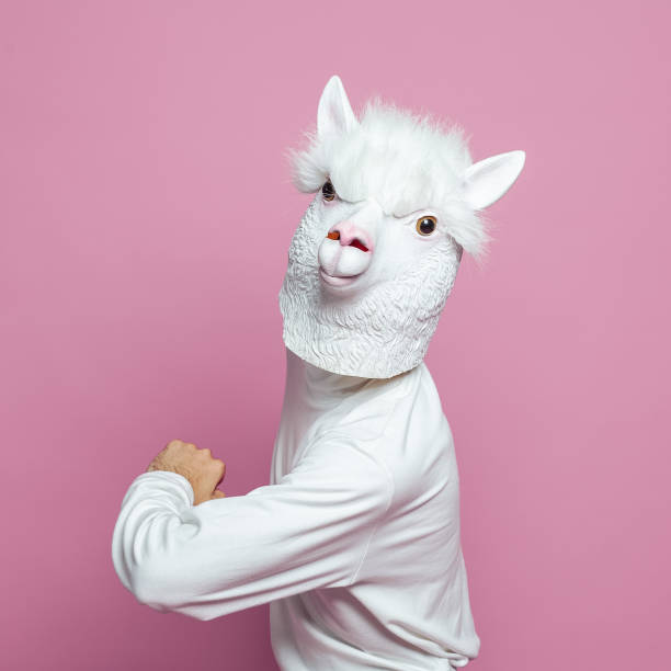 istock Man with white lama head on bright pink studio wall background 1417687419
