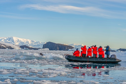 Antarctic tourists watch a leopard seal (Hydrurga leptonyx) very closely from the Zodiac on an ice floe in Cierva Cove