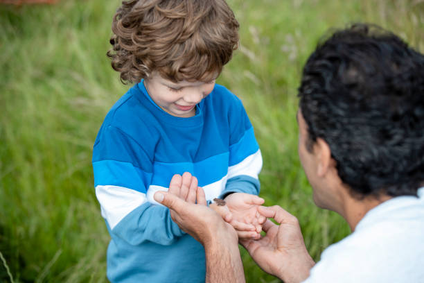 istock Be Gentle With The Frog 1417694977