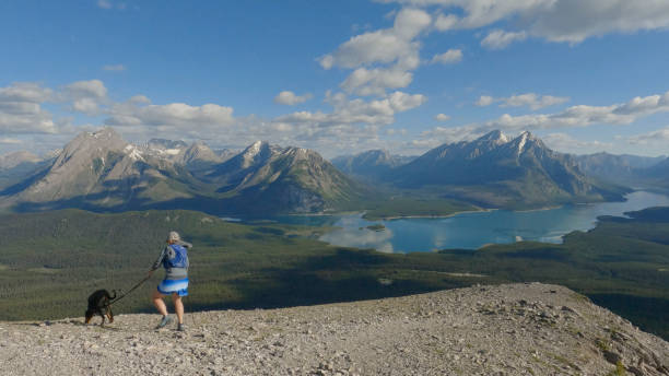 Woman trail runner runs along mountain ridge with dog Lake and mountains below kananaskis country stock pictures, royalty-free photos & images