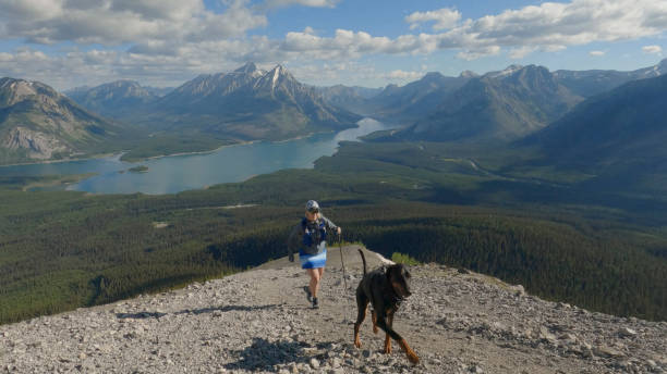 woman trail runner runs along mountain ridge with dog - conquering adversity wilderness area aspirations achievement imagens e fotografias de stock