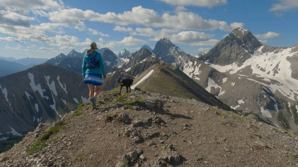 istock Woman trail runner on mountain summit with dog 1417698998