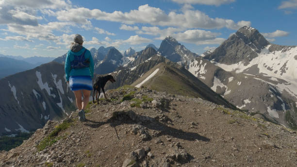 istock Woman trail runner on mountain summit with dog 1417699041
