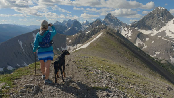istock Woman trail runner on mountain summit with mobile phone 1417699103