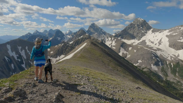 trailrunnerin auf berggipfel mit handy - pointer stick stock-fotos und bilder