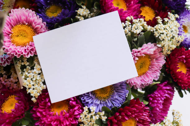 istock bouquet of colorful asters and space for text 1417700473