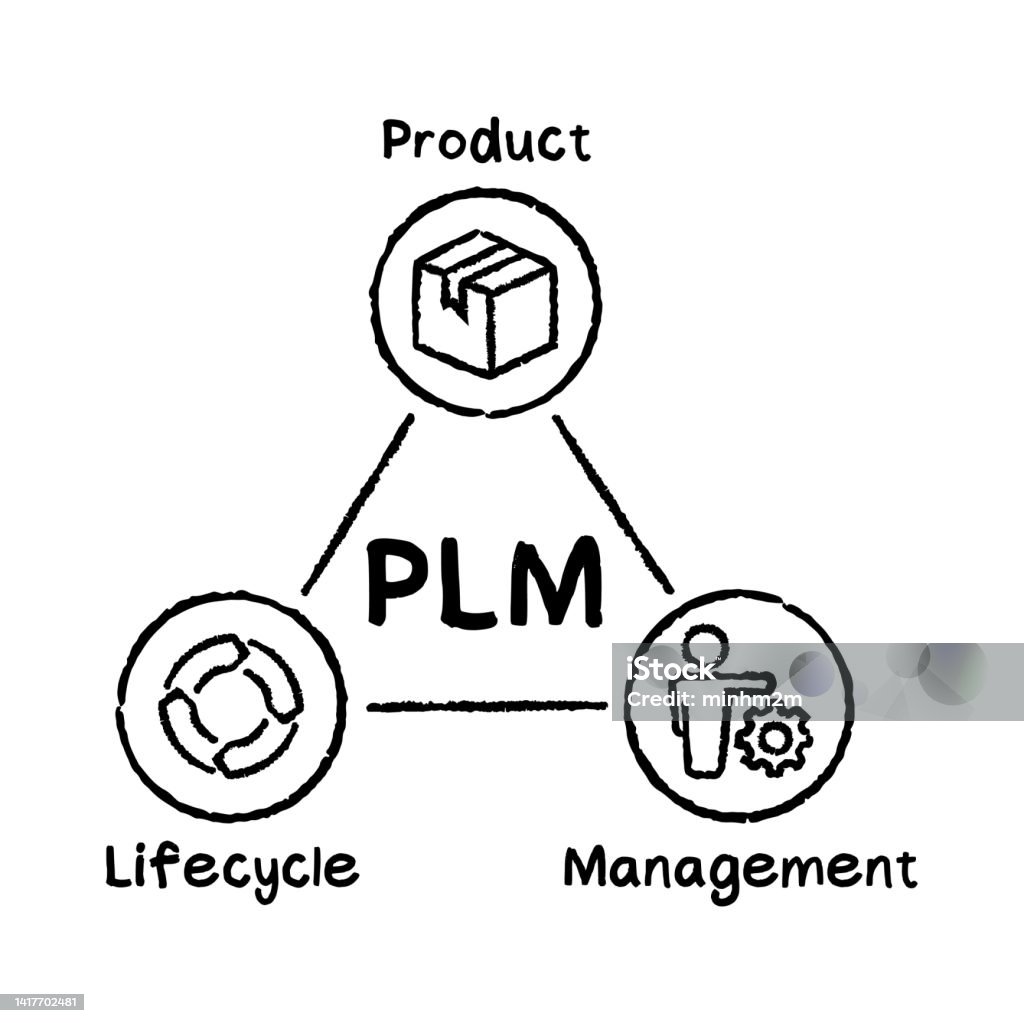 Plm Acronym Concept Vector Infographic Illustration Stock Illustration ...