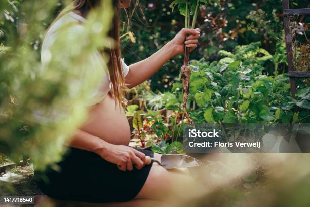 Pregnant Woman In The Garden Stock Photo - Download Image Now - Pregnant, One Woman Only, Vegetable