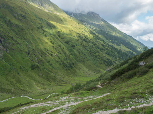 istock Green summer alpine mountain valley with winding river spring stream and Tyrolean walker at Stubai hiking trail, Stubai Hohenweg at Tirol, Austrian Alps 1417716769