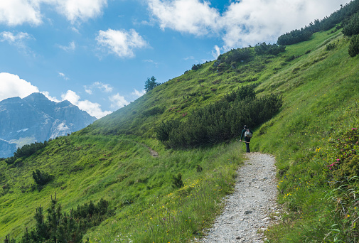 Green summer alpine mountain landscape with Tyrolean walker at Stubai hiking trail, Stubai Hohenweg at Tirol, Austrian Alps.