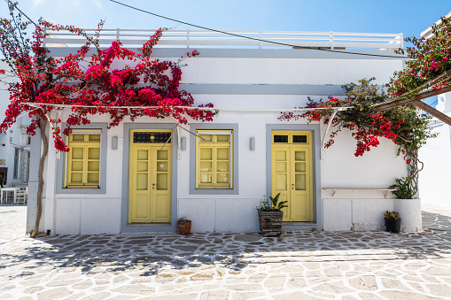 The typical cycladic, whitewashed alleys with colorful flowers at Parikia on the island of Paros, Cyclades, Greece, during summer time