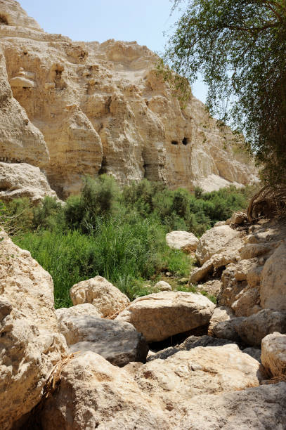 istock Streams and waterfalls Nature Reserve Ein Gedi 1417721832