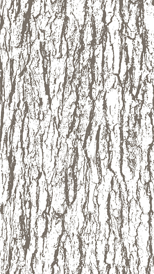One color vector background with the texture of oak tree bark.