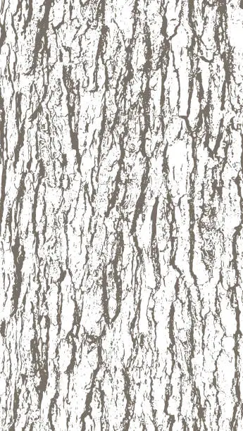Tree Bark Powder Icon Free tree bark pattern Icons & Stickers | Download Now | FreeImages