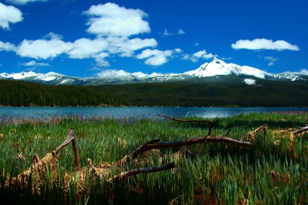 istock Lake Diamond Lake & Mount Thielsen, Oregon 1417731485