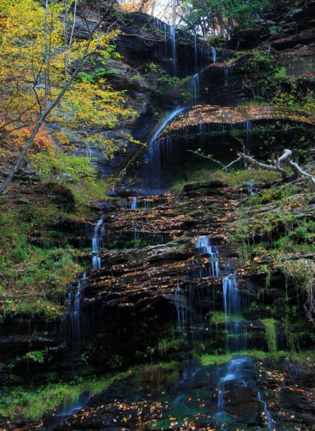 istock Waterfalls - Cathedral Falls, West Virginia 1417731568