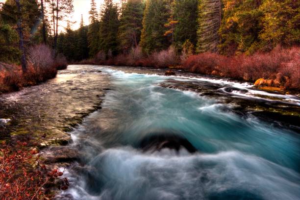 istock River Deschutes River, Sisters, Oregon 1417731587