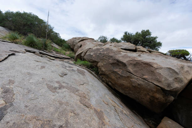 istock Fallen Giant, Aguirre Springs, Monsoon Season 1417740079