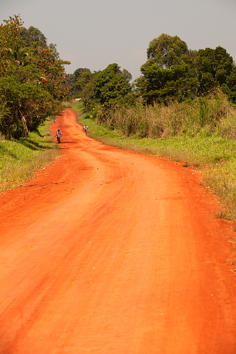 Dirt road and nature at Africa