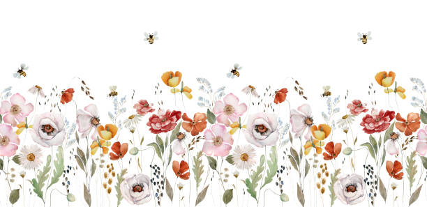 aquarell wildblumen illustration - wildflower stock-grafiken, -clipart, -cartoons und -symbole