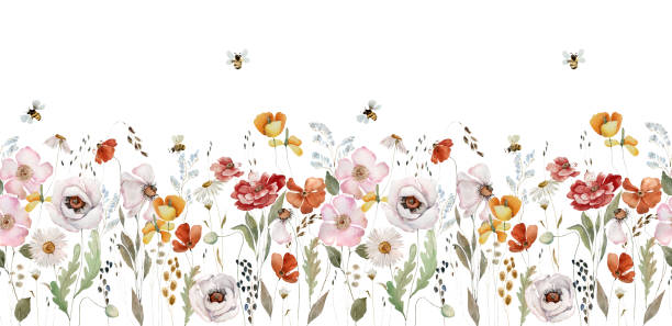 ilustracja polnych kwiatów akwarelowych - wildflower stock illustrations