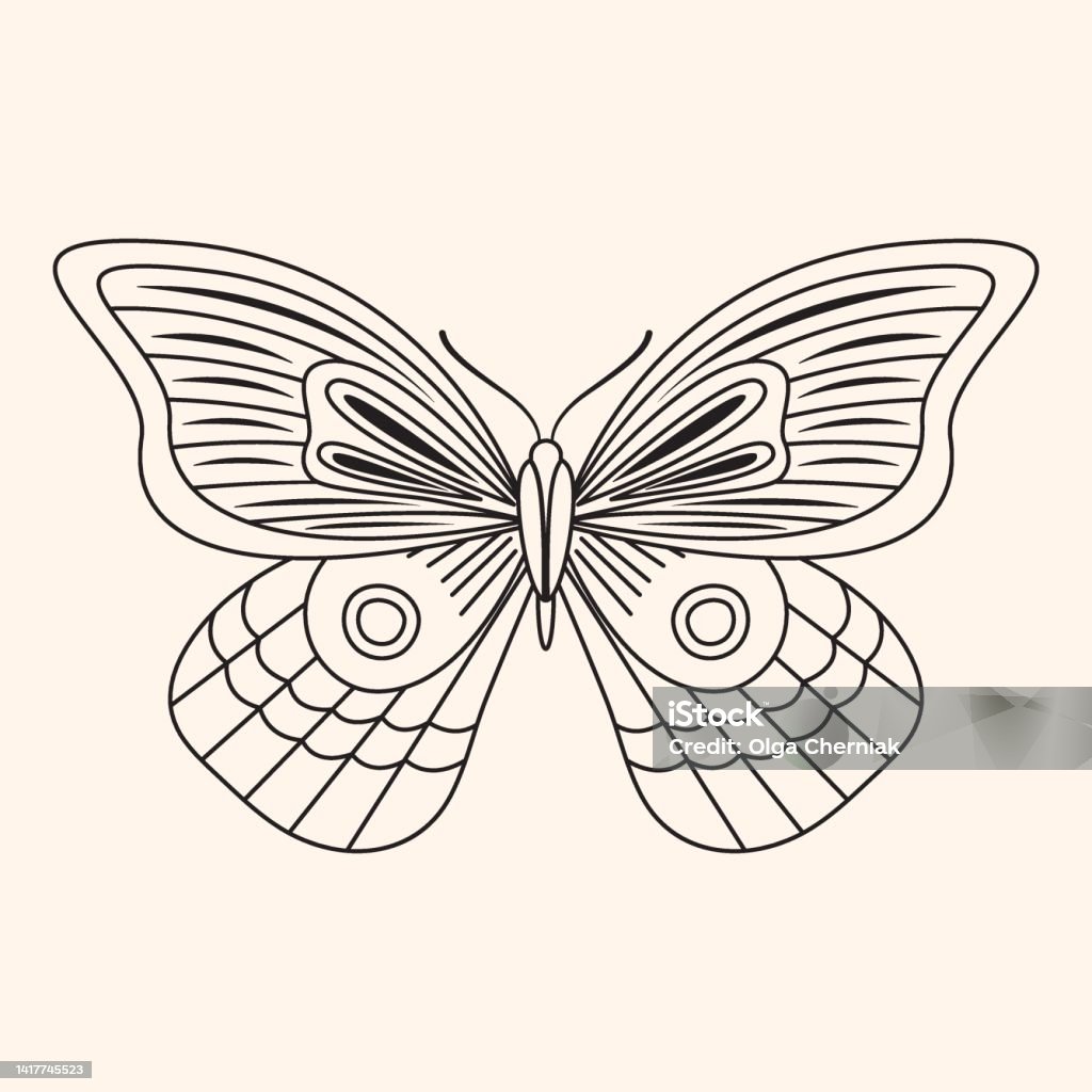 Outline Drawing Of Butterfly Stock Illustration - Download Image ...