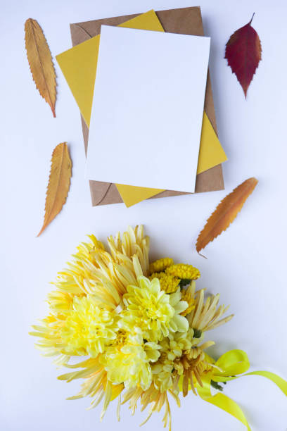 istock bouquet of chrysanthemums on a white background 1417746662