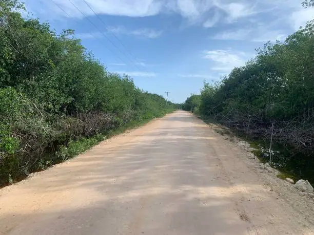 Deserted track between Corozal and Progresso in Belize