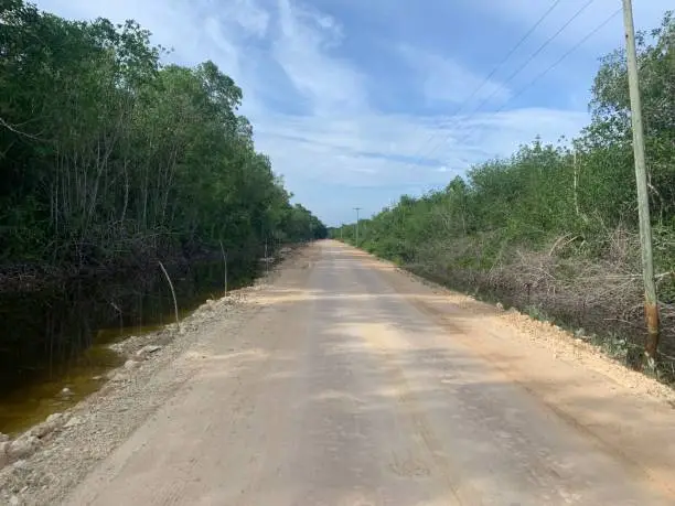 Deserted track between Corozal and Progresso in Belize