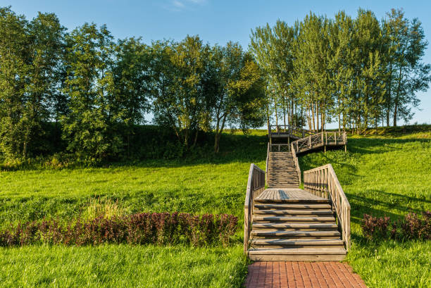 View of the multi-level wooden gangway in a picturesque place with a field and trees. Summer evening before sundown. Nature landscape background stock photo
