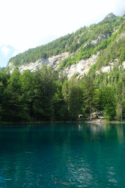 istock Blausee Lake of Switzerland 1417751010