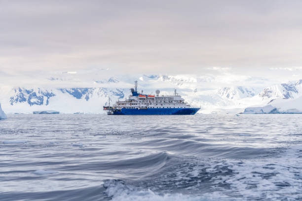 antarktyczny krajobraz gór lodowych w portal point, który znajduje się przy wejściu do zatoki charlotte na półwyspie reclus, na zachodnim wybrzeżu ziemi grahama. - alaska cruise iceberg water zdjęcia i obrazy z banku zdjęć