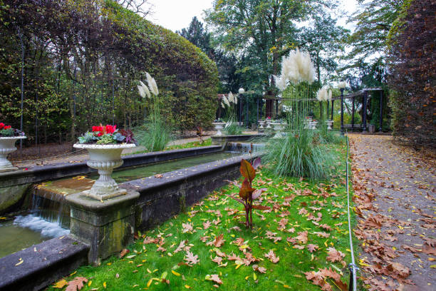 istock Amazing Pampas grass  (Cortaderia selloana)  in Cologne botanical garden Flora 1417752072
