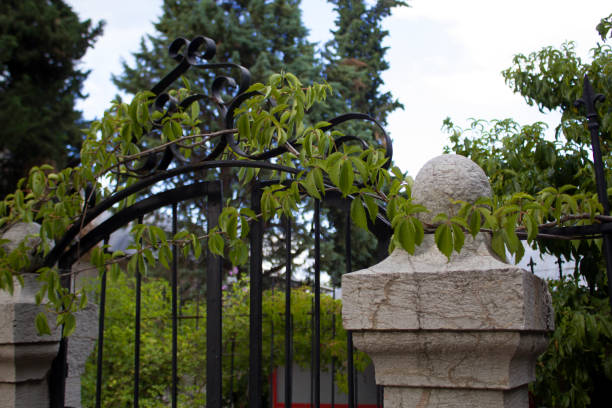 istock Vines, old iron gate entrance and carved stones 1417753832