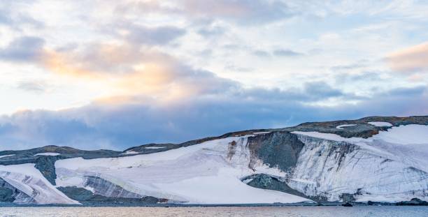 zdjęcie panoramiczne - surowa przyroda, lodowce lodowe i formacje skalne na half moon island / punta pallero na szetlandach południowych u wybrzeży antarktydy - shetland islands zdjęcia i obrazy z banku zdjęć