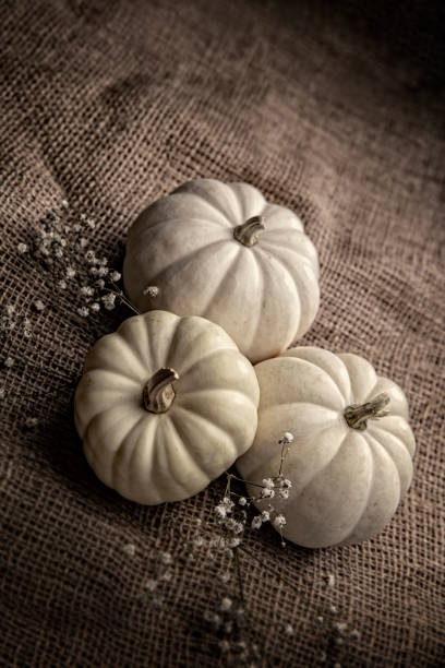 Autumn White pumpkins on Burlap background stock photo