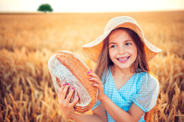 linda garota, padeira ou agricultora segurando pão assado caseiro no campo de trigo. agricultura e conceito alimentar. - bread food baked 7 grain bread - fotografias e filmes do acervo