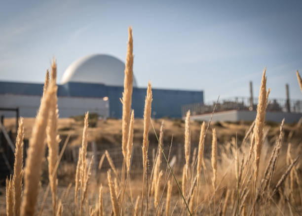 grano da spiaggia in primo piano di fronte alla centrale nucleare sizewell b a sizewell beach, suffolk. - sizewell b nuclear power station foto e immagini stock