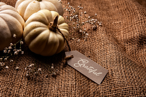 This is a close up photo of three white pumpkins on a burlap potato sack background with a Grateful card. There is space for copy. This is a nice high key image that would work well for autumn, Thanksgiving and a holiday Halloween season in the fall.