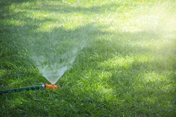 istock Water sprinkler watering the grass 1417766858